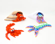 Namii Maxi Paguro 2026