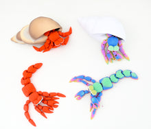 Namii Maxi Paguro 2026