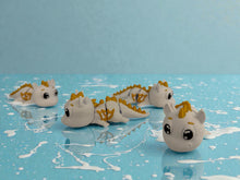 Namii - Medi - Dragospino