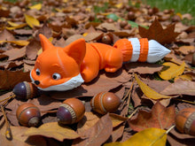 Namii - Medi - Volpe