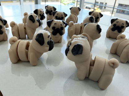 Namii Mini Carlino
