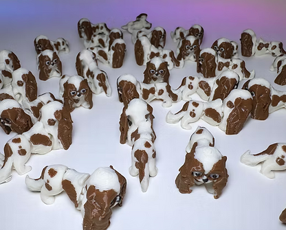 Namii - Mini - Cavalier King