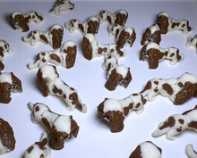 Namii - Mini - Cavalier King