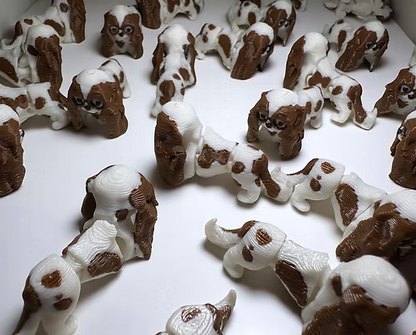 Namii - Mini - Cavalier King