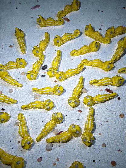 Namii Mini Cavalluccio Marino