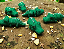 Namii - Mini - Coccodrillo