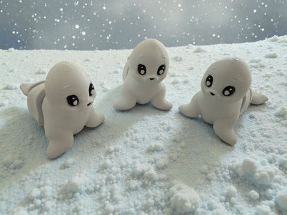 Namii - Medi - Foca