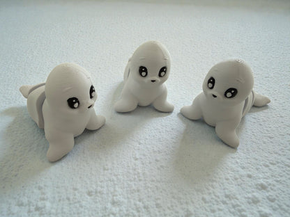 Namii - Medi - Foca