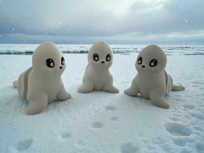 Namii - Medi - Foca
