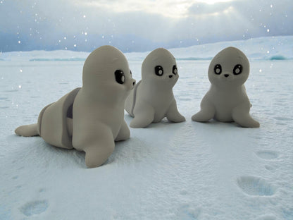 Namii - Medi - Foca