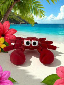 Namii - Maxi - Granchio