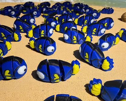 Namii Mini Pesce Chirurgo