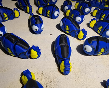 Namii - Mini - Pesce Chirurgo