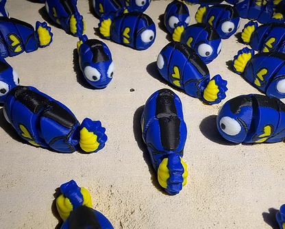 Namii Mini Pesce Chirurgo