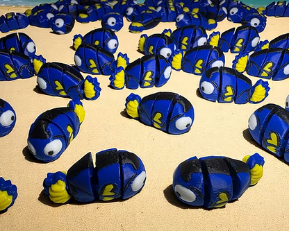 Namii Mini Pesce Chirurgo