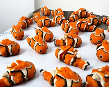 Namii - Mini - Pesce Pagliaccio