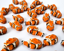 Namii - Mini - Pesce Pagliaccio