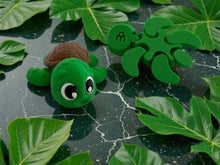 Namii - Medi - Tartaruga