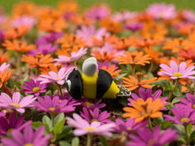 Namii - Portachiavi - Ape