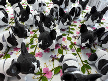 Namii - Mini - Bouledogue Francese