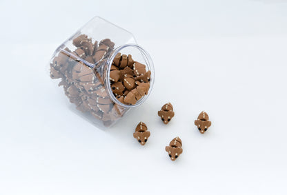 Namii Mini Triceratopo