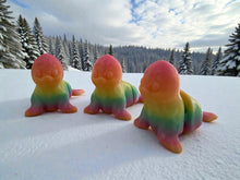 Namii - Medi - Foca Luminescente