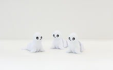 Namii - Medi - Foca