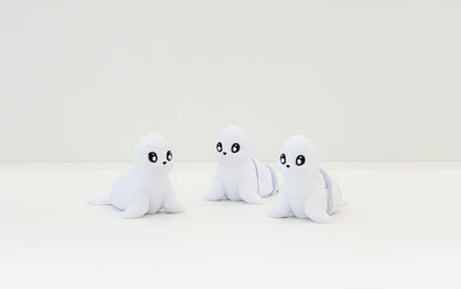 Namii - Medi - Foca