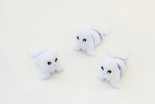 Namii - Medi - Foca