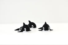 Namii - Medi - Orca