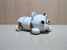 Namii - Mini - Gatto Classic Pezzato