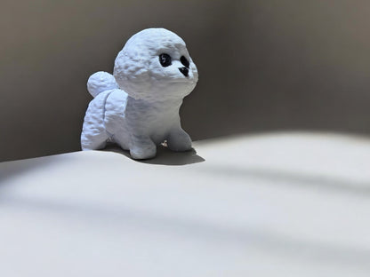 Namii Mini Barboncino
